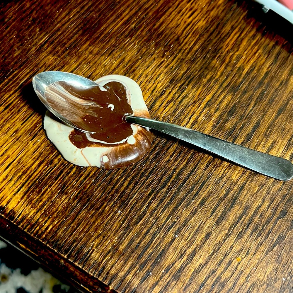 Unique Fake Chocolate ice cream looking spill